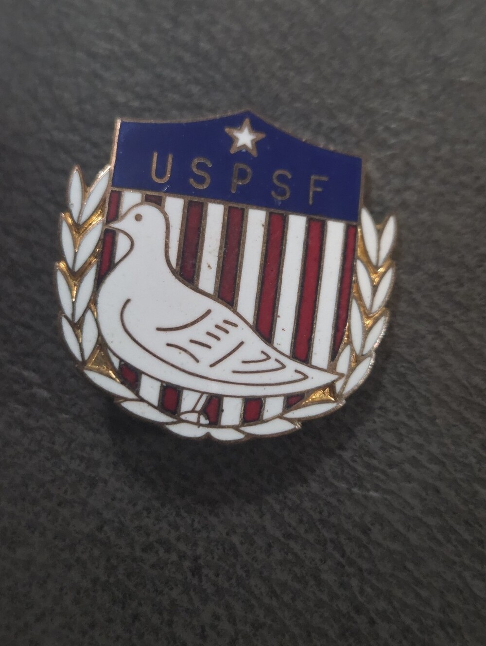 1960s USAF Air Force Vietnam USPSF Preventive Services TF Squadron Lapel Pin